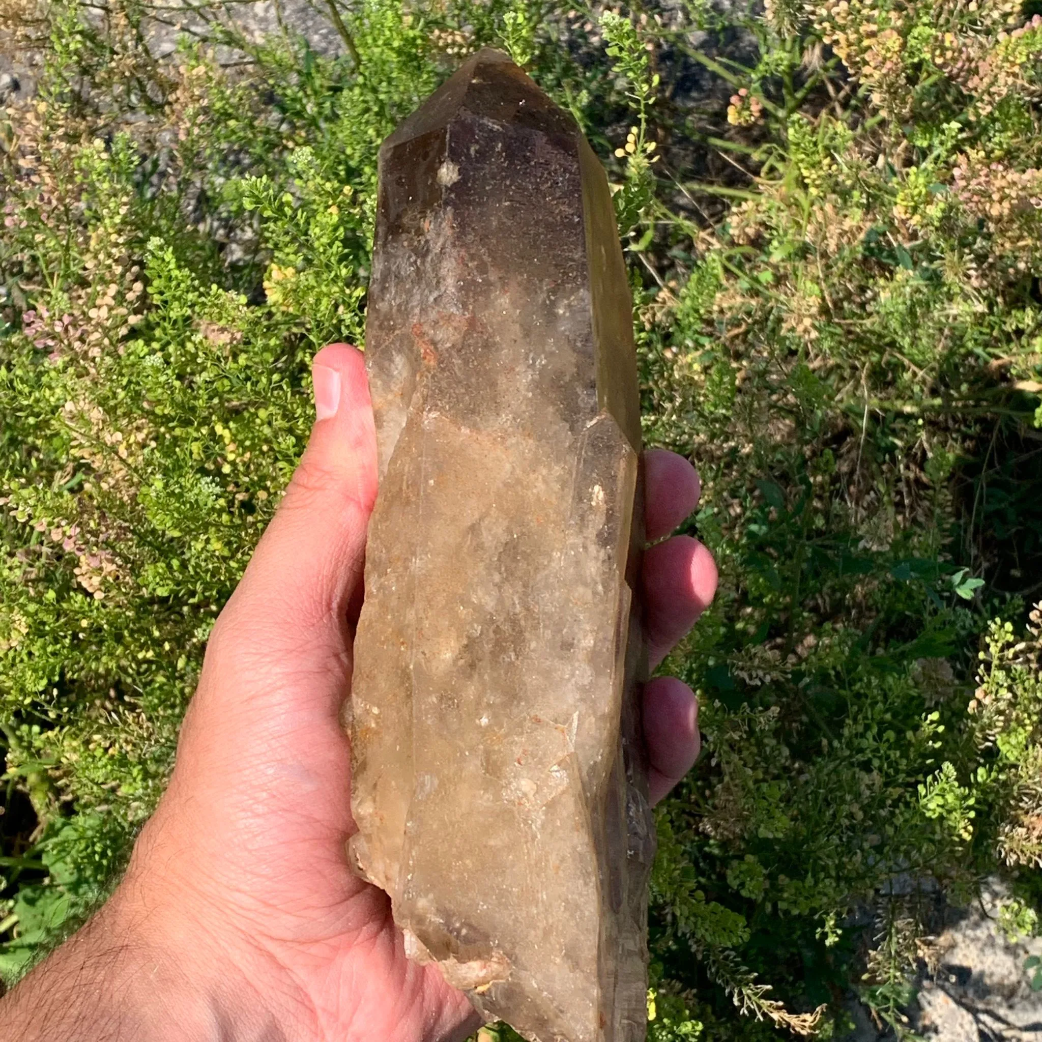 8.4"  Natural Citrine from Mansa,Lualupa, Zambia
