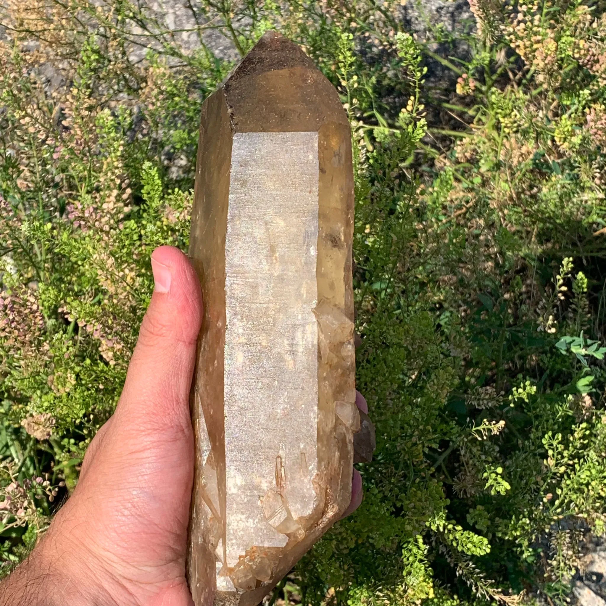 8.4"  Natural Citrine from Mansa,Lualupa, Zambia