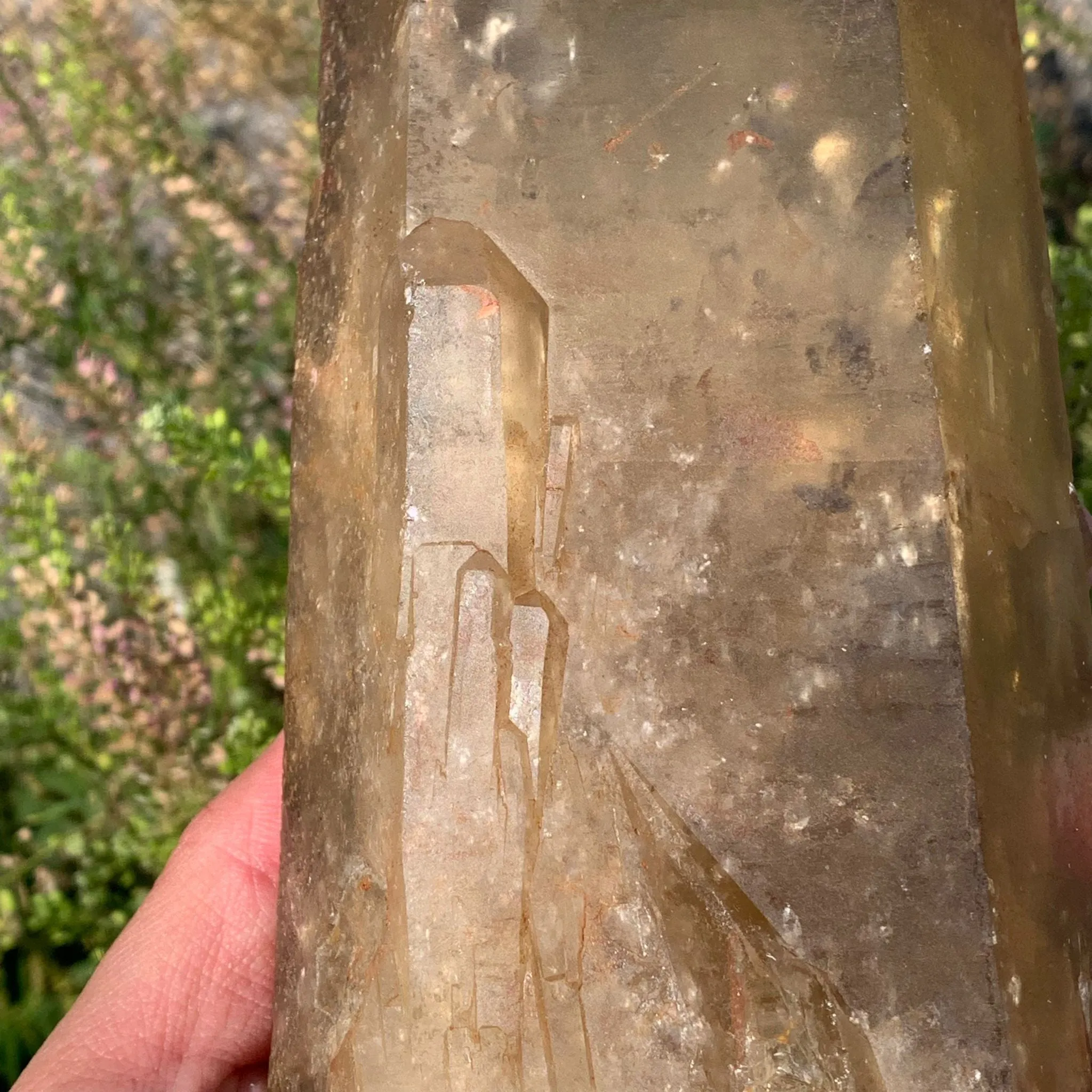 8.4"  Natural Citrine from Mansa,Lualupa, Zambia