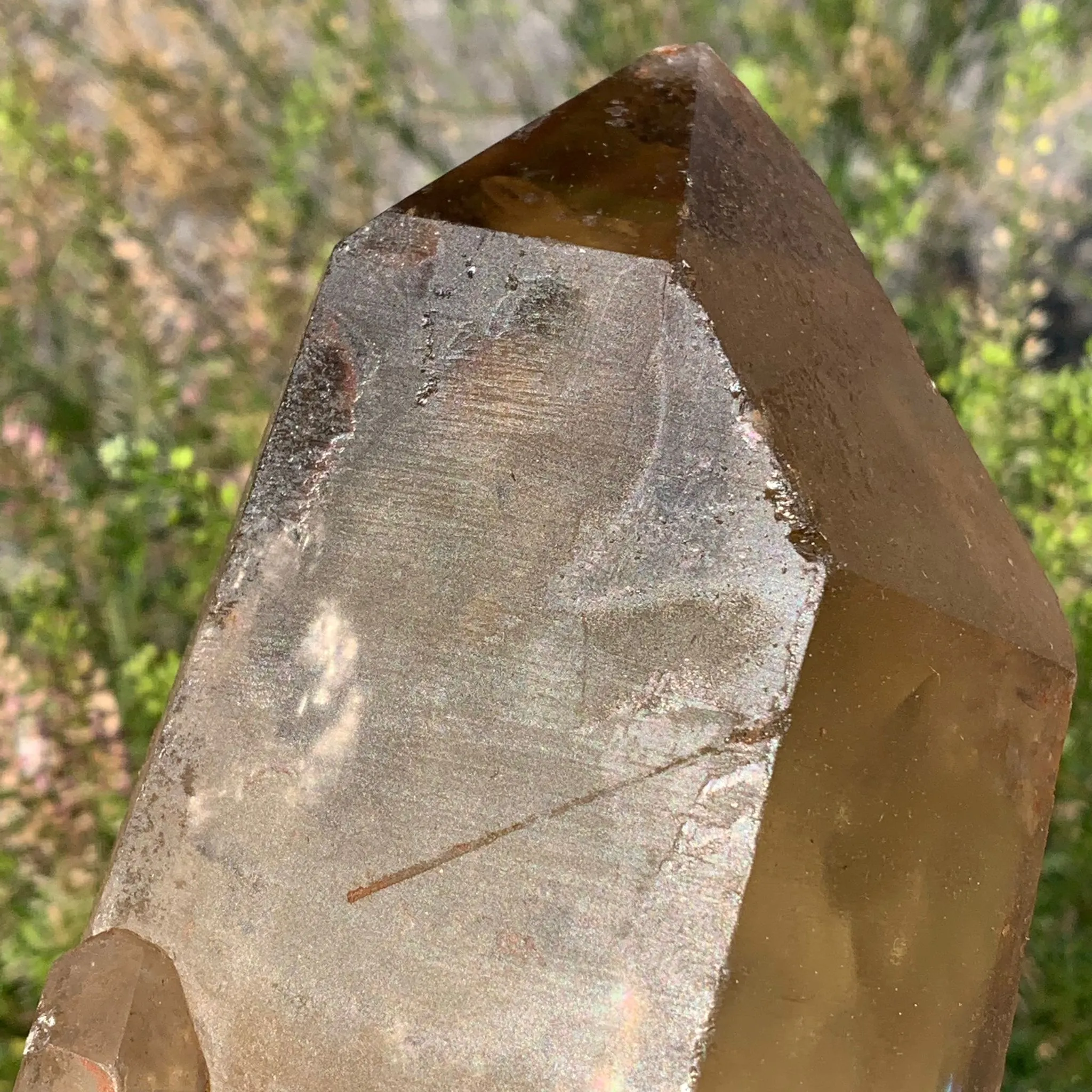 8.4"  Natural Citrine from Mansa,Lualupa, Zambia