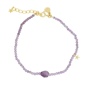 Fiesta Bracelet - Amethyst