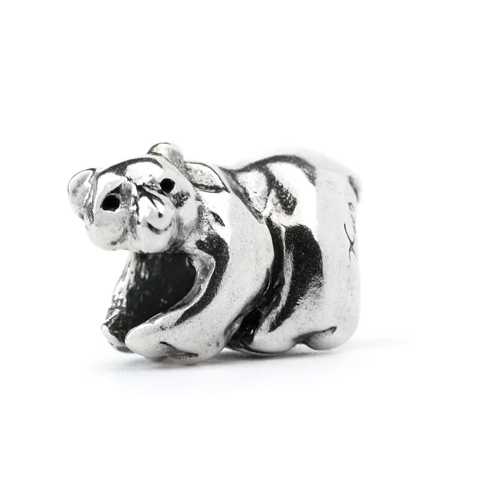 Polar Bear, Silver